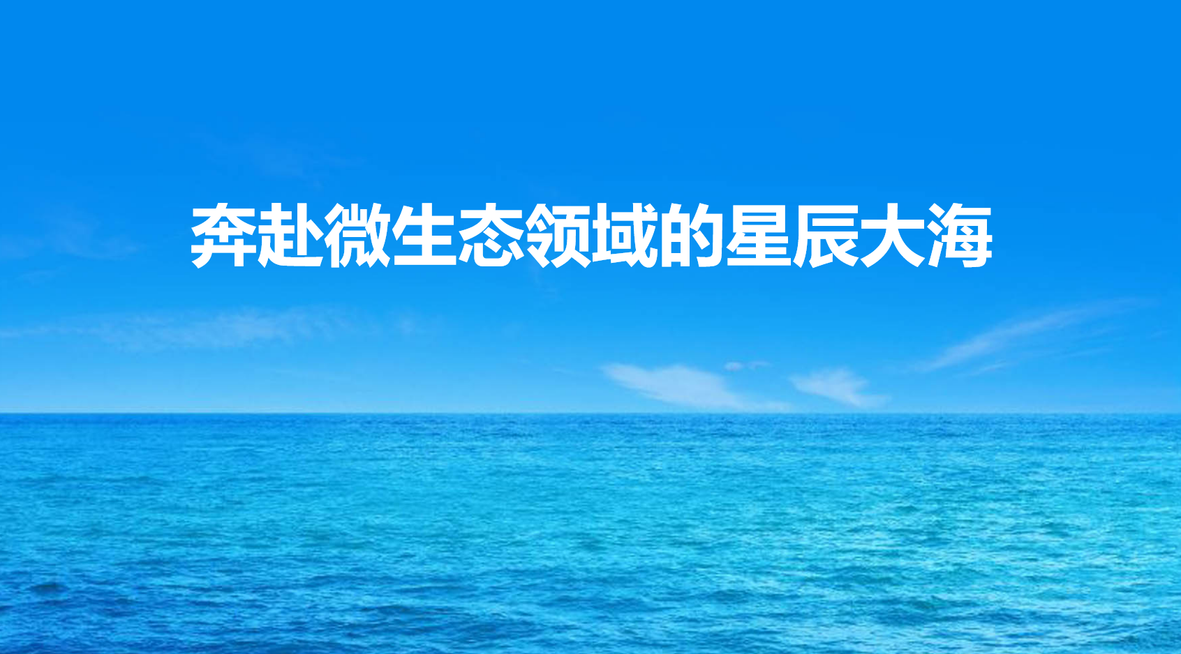 微信图片_2026-08-25_170819_907.png